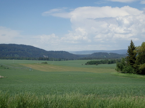 GDMBR: Looking northeast we could see forest lands and a few big storms brewing.